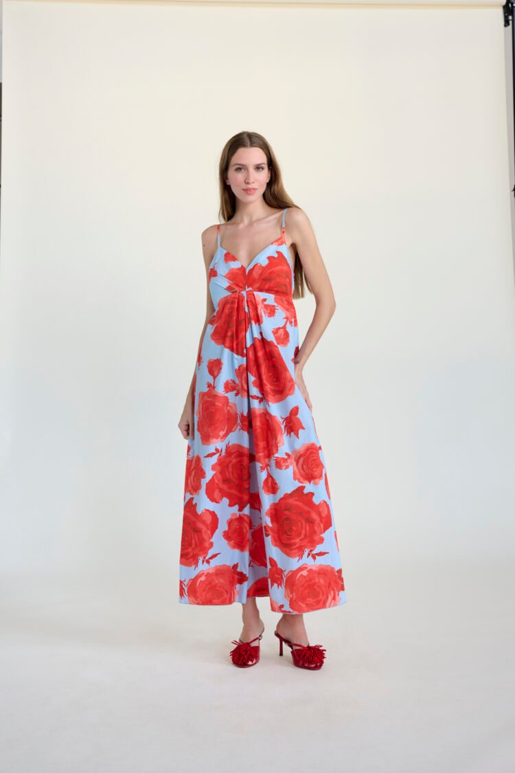 B-YU Floral Maxi Dress | Sky Blue & Red